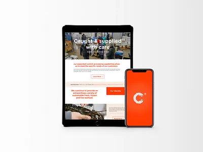 Docks design icon identity lettering logomark stationary typography uiux web