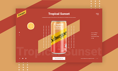 Schweppes drink drinks web web design webdesig webdesign website