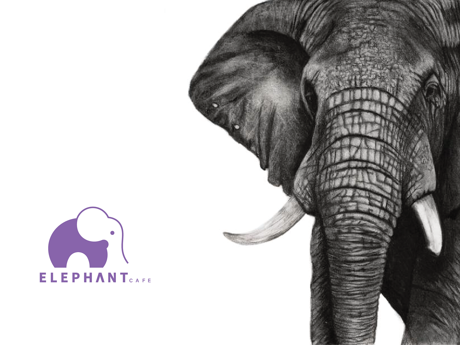 Elephant logo by Anjelah Johnson on Dribbble