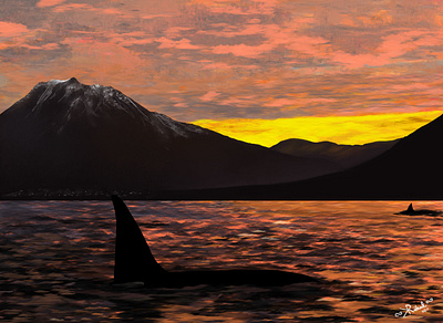 Orcas in a sunset artwork design digital digitalart dribbble graphic graphic design illustration instagram photoshop