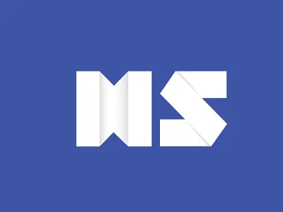 NEW CONCEPT FOR HS LOGO adobe animation branding design illustration illustrator product typography vector website