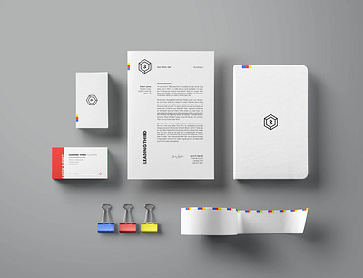 Leading Third Brand Collateral brand branding clean color design graphic design icon iconography identity illustration logo minimal primary typography