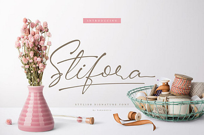 Stifora Free Script Font design font free font free fonts free typeface freebie freebies illustration typeface typography