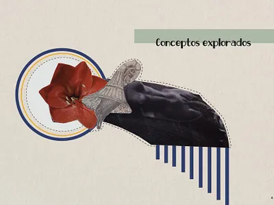 Portafolio collage colombia concepto design diagram dibujo editorial editorial art fotografia illustration portafolio