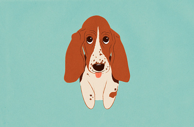 Basset Hound animal basset hound dog graphic design illustration pupper