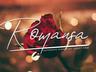 Romansa script font font font awesome font design fonts fonts collection lettering script font script lettering typography