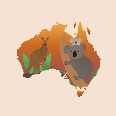 Australia animals australia design illustration kangaroo koala procreate wildfires