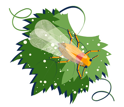 Vineyards in Vienna: Spot 1 design editorial editorial illustration illustration illustrator minimal vector wine