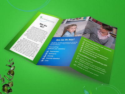 Brochure Design booklet brand booklet brochure brochure design catalog graphic design nisha nisha droch nisha f1