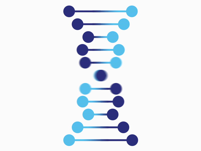 DNA Loop aftereffects dna loop animation mograph motion design motiongraphics vector