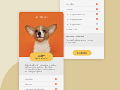 Profile 006 006 dailyui dailyui 006 dog pet profile ui