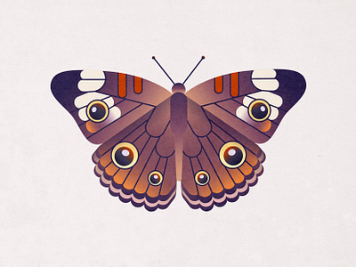 Common Buckeye Butterfly animal bug butterfly common buckeye cute eyes illustration insect minimalist moth nature simple vector vector illustration