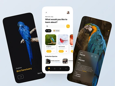 Wildlife App Concept - Explore Wild Animals animals app concept app ui birds clean discovery forest information minimal mobile app nature ui ui design uiux ux wild wild app wildlife wildlife app design zoo