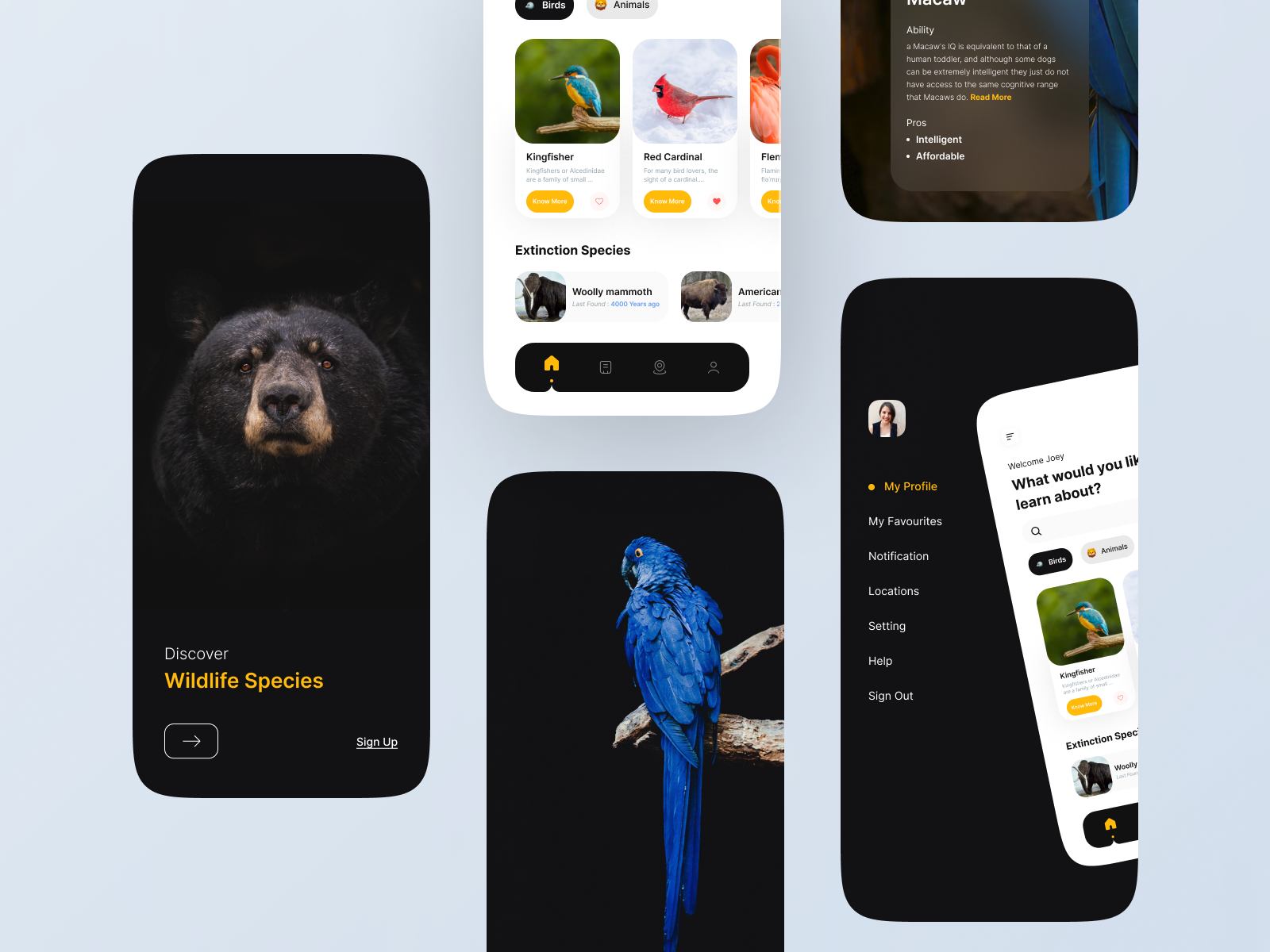 Wildlife App Concept Explore Wild Animals by Codzgarage Infotech Pvt Ltd on Dribbble
