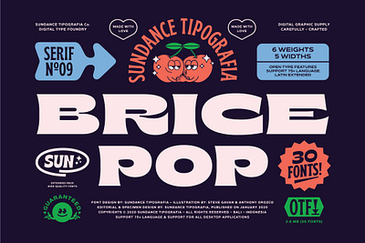 Brice Font Family 80s branding design font font design font family fonts fun graphic design graphics illustration lettering logo font pop retro retro font typeface typefaces vintage vintage font