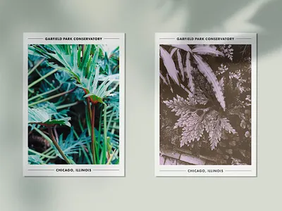 Garfield Park Conservatory Postcards botanical garden branding chicago conservatory mailers merch photography plants postcard print design typography vscocam