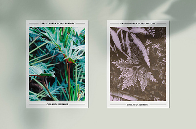 Garfield Park Conservatory Postcards botanical garden branding chicago conservatory mailers merch photography plants postcard print design typography vscocam