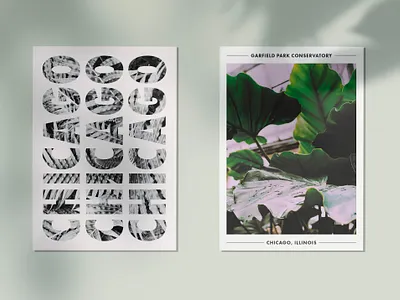 Garfield Park Conservatory Postcards brand branding chicago collaterals conservatory design graphic design mailer merch postcard print design print designer typography