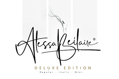 Alessa Beilaire Free Deluxe Edition Font font font family free font free fonts freebie freebies typeface typefaces typogaphy typography