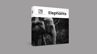 Concept logo design for Pinnawala Elephant Orphanage, Sri Lanka branding design graphic graphicdesign identity illustration illustrator logo logodesign logotype