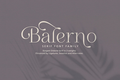 Balerno Serif Family beautiful branding creative elegant lettering logo luxury minimal modern professional serif serif font serif fonts serif typeface simple stylish trending trendy typeface typography