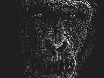 Line art Gorilla apple pencil art drawing gorilla illustration ipadpro line art monkey