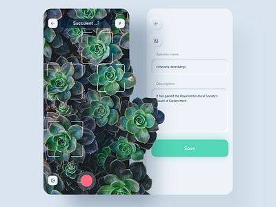 Nursery App preview ai app camera detection nature neuomorphic nursery plant sketch skeuomorph succulent ui ui kit ux vector