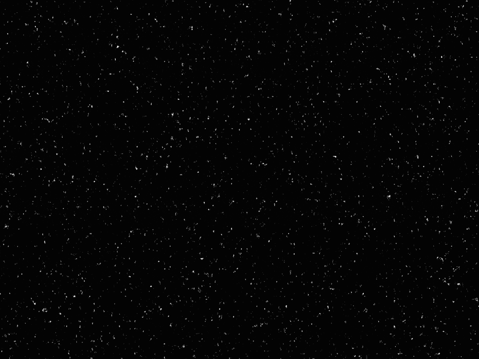 Example of Shooting Star