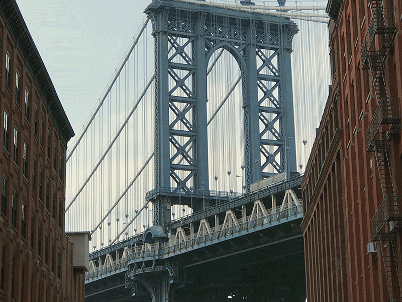 NY Sight character cooler dumbo gif illustration kong nyc