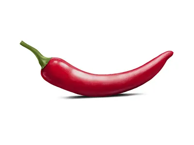 Chilly apple pencil art artist chilli chilly digital art digitalart ipadpro procreate procreate art procreateapp