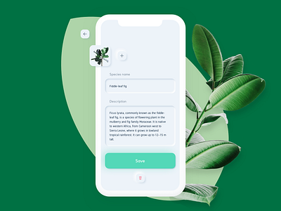 Nursery App ficus app green greenery ios item minimal plant sketch text input ui ux white