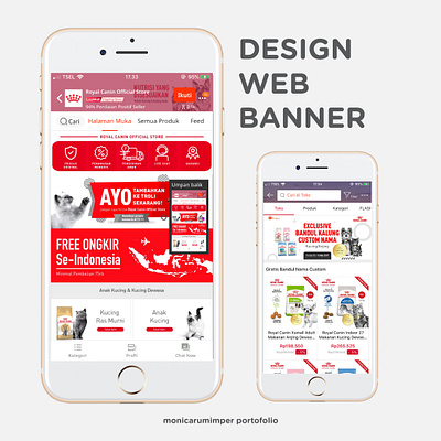 Design Banner Web for Royal Canin app design flat illustration illustrator minimal typography ui web