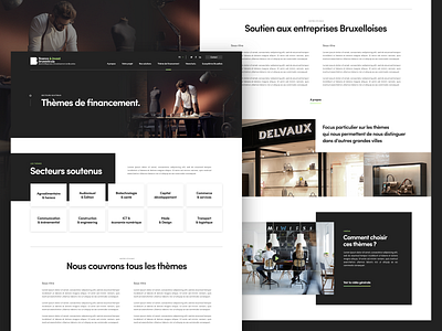 finance.brussels website brussels corporate design finance business template web design web layout « samuel scalzo »