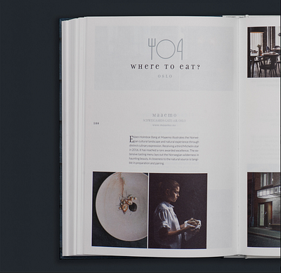 Guidebook for NGO annual report design layout layoutdesign print
