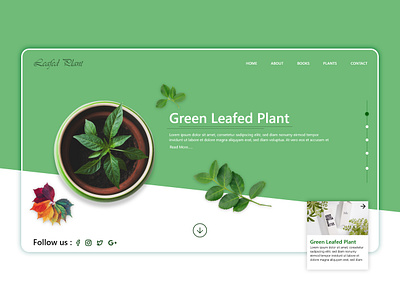 Green leafed plant web template branding design design inspiration inspiration interface intraction sars infotech template design typography ui user experience design user interface ux website