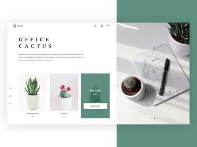 Cactus Store 2020 cactus clean color creative design golden grid green houseplants illustraion landingpage modern plant product store ui uiux ux webdesign website