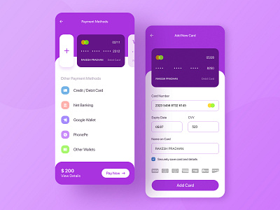 Payment Option apple audio player branding card color design graphic illustration mobile app mobile application mobile ui payment payment app payment form payment method ui ux vector visa card website