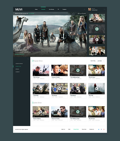 Movies and Tv show Site branding design mobile app netflix ui ux video web design website