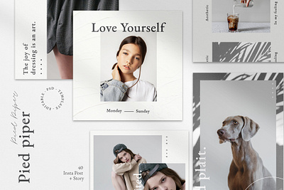 Pied Piper - Instagram Post+Story aesthetic brand design brand guide branding design instagram instagram post instagram stories instagram story instagram template shape template brand template design white