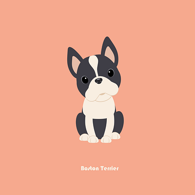 100 Days of Vector - Boston Terrier 100daysofvector illustration sketch ui