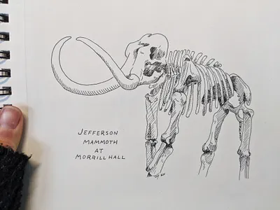 Jefferson Mammoth art bones drawing hand drawn illustration ink ink art mammoth pen