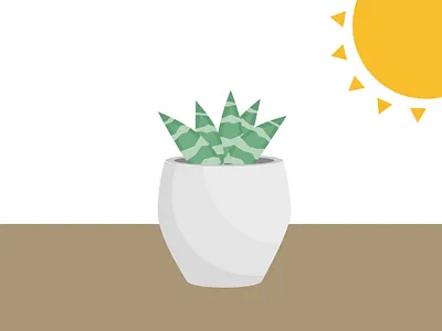 Succulent Illustration design illustration vector