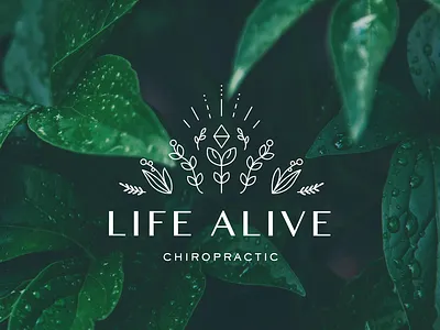 Branding for Chiropractic Office branding design floral illustration lineart logo radial typography vector
