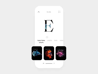 Earthplorer Blog 2danimation animation app blog filters fishes minimalism mobile nature navigation photos product studio the glyph theglyphstudio transitions typography ui ux website