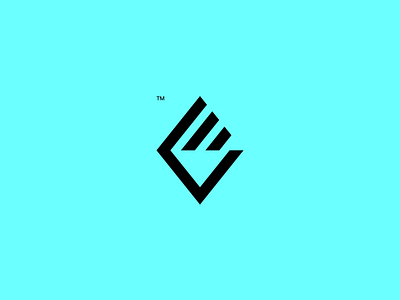 Eastview logo corporate corporate identity finance financial identity logo logo design real estate real estate logo