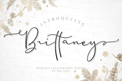 Brittaney Free Script Font font fonts free download free font free fonts freebies freefont type typeface typography