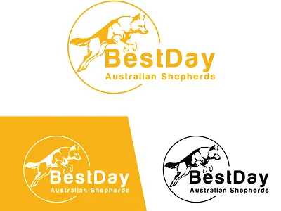 Australian Shepherds1