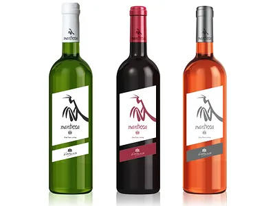 Colorful Wine Bottles bottle branding design illustration logo packaging typography wine