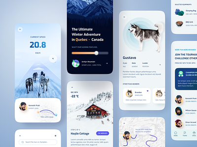 Dog Sledding App. animal app app design ar blue clean details game hotel list map mobile mobile design profile rank reservation sport ui vr winter