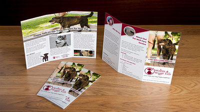 WWT Brochure branding crgraphix.com design typography vector